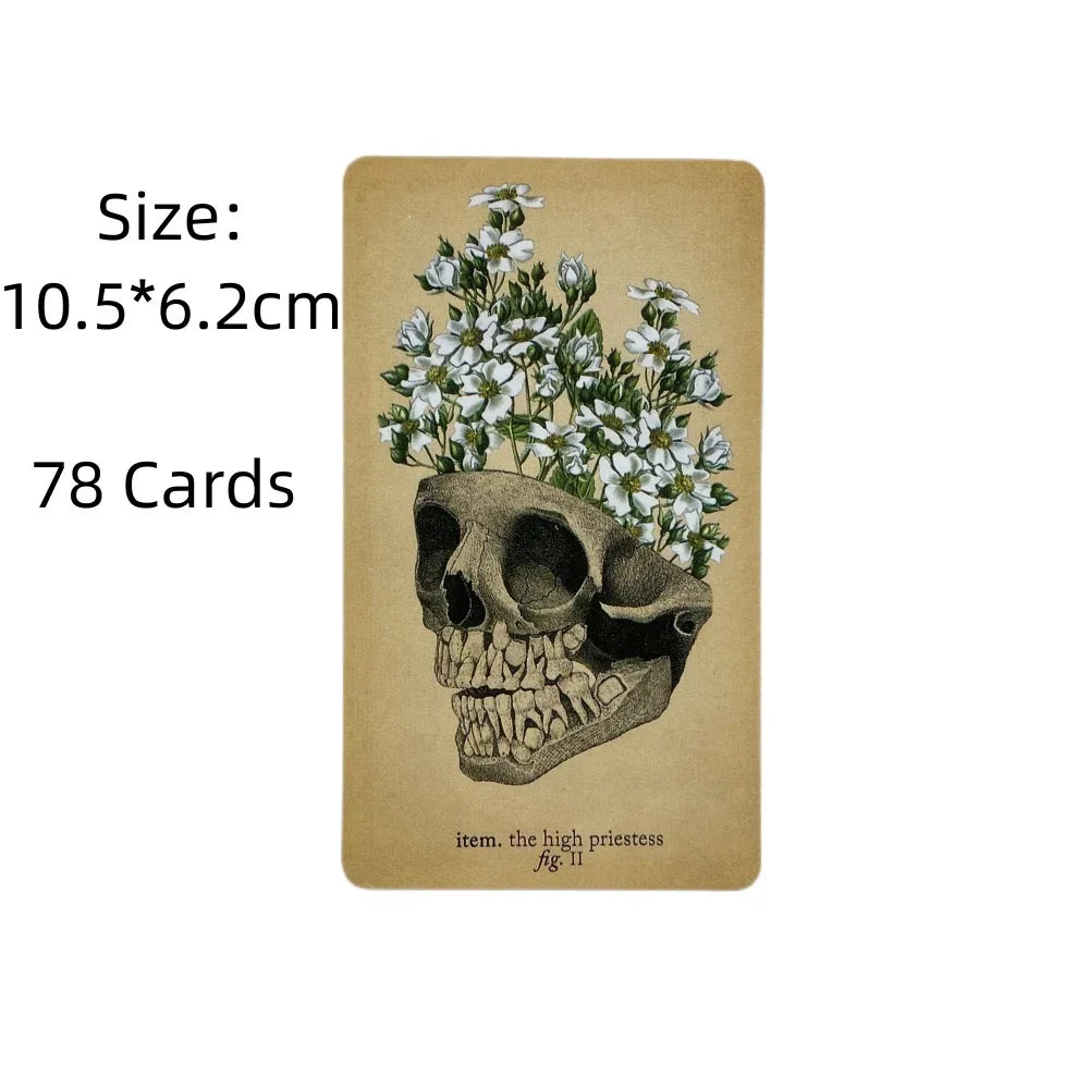 Antique Anatomy Tarot Cards