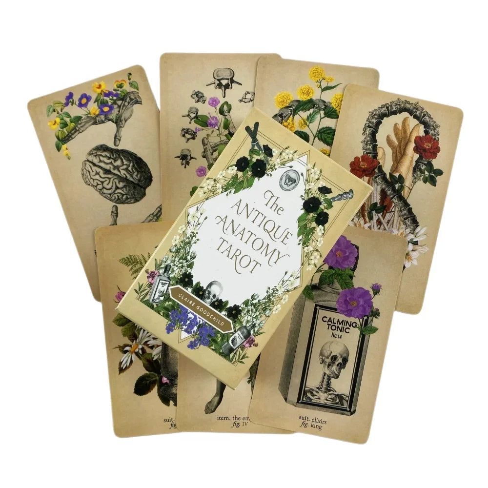 Antique Anatomy Tarot Cards